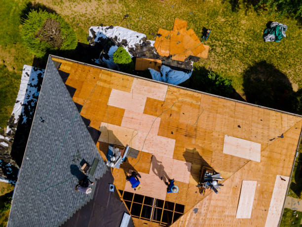 Best Roof Waterproofing Services  in Timpson, TX